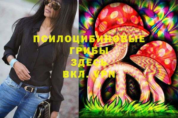 сатива Струнино